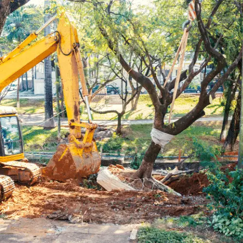 Sidewalk Violation Removal