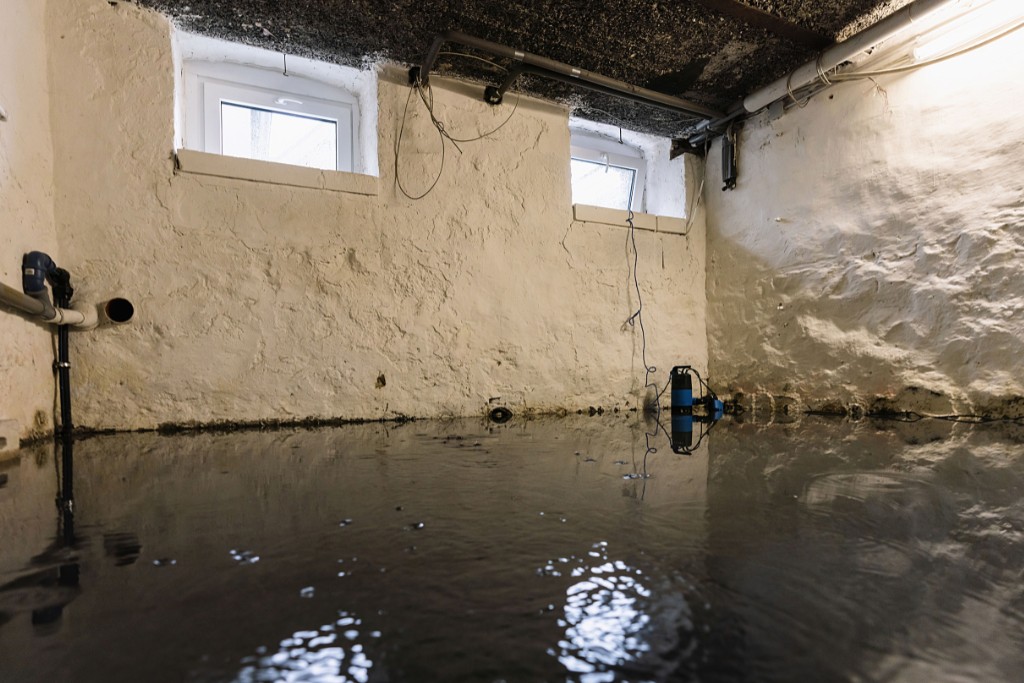 Mold Prevention After Basement Waterproofing in New York